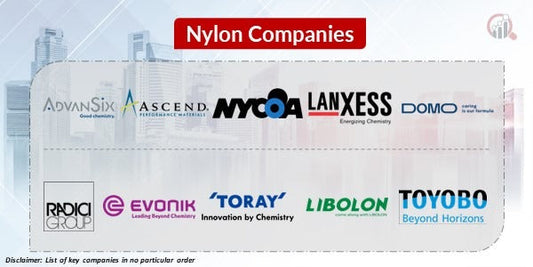 Nylon Market and Key Industry Players
